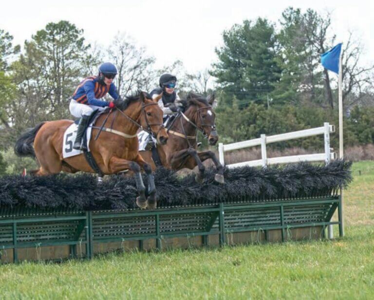 Blue Ridge Hunt Invites All on March 30 for Point-to-Point Races and ...